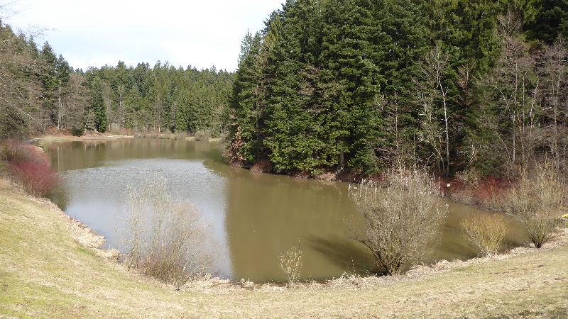 H&uuml;ttenb&uuml;hlsee